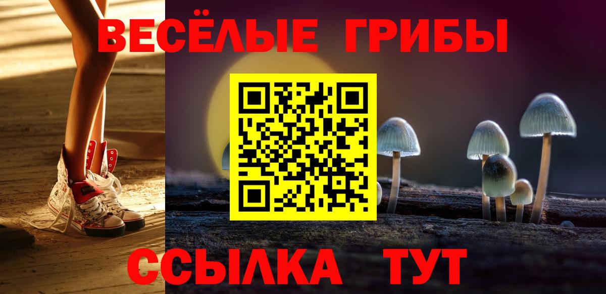 Псилоцибиновые грибы Cubensis  Галлюциногенные грибы Psilocybe  Вход с VPN  Фурманов 